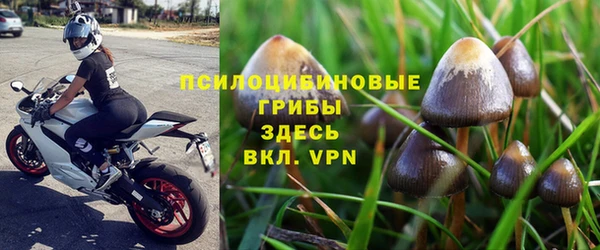 гидра Аркадак