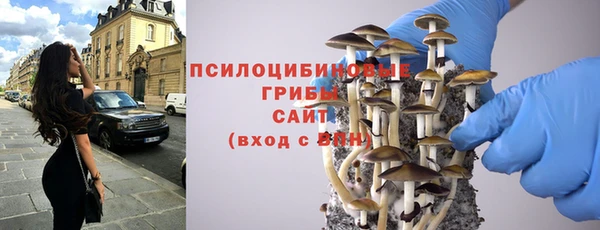 каннабис Арсеньев