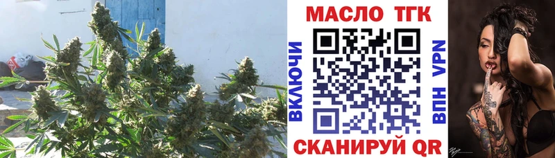 Купить  Спасск  ТГК вейп с тгк 